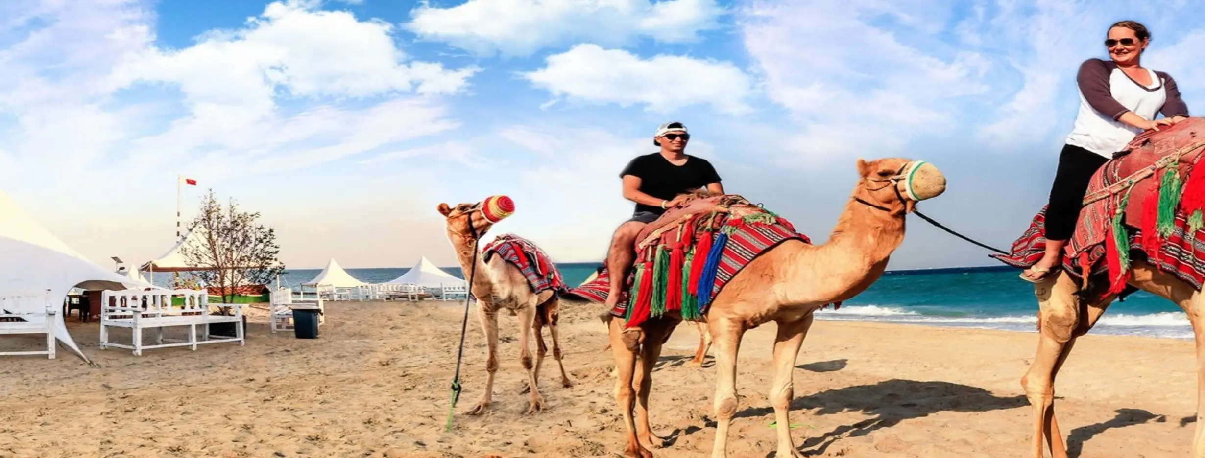 Image for Desert Safari